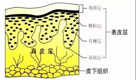 玻尿酸