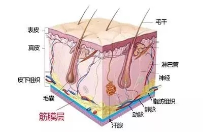 沒有誰能永遠年輕，不老都是保養(yǎng)的早！