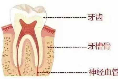 做牙齒矯正 ，真的要趁早！