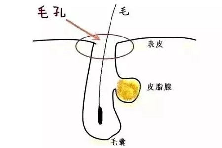 如何在炎熱的夏天，做清爽白凈的小姐姐？