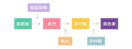 美萊實(shí)驗(yàn)室：據(jù)統(tǒng)計(jì)90%的長(zhǎng)斑都與夏天這一東西有關(guān)，你臉上的斑點(diǎn)是嗎？