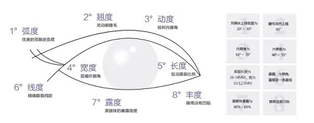 美眼張誠坐診美萊，淺談為什么你的眼睛不夠美？