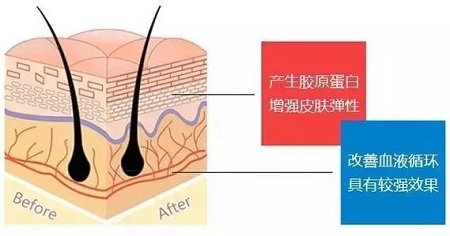 關(guān)于*雕，你想了解的都在這里！