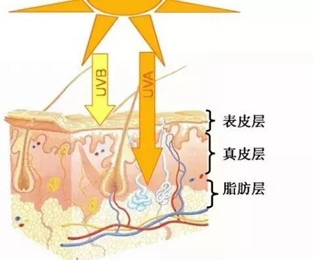 毛孔粗大