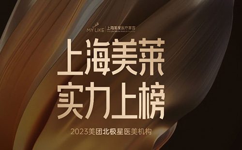 <a href='/sh' target='_blank'><u>上海美萊</u></a>榮登上榜“2023美團北極星醫(yī)美機構”